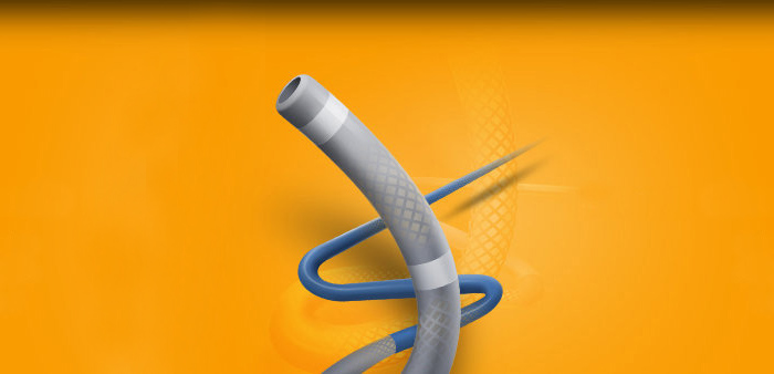 NeuroBridge® Intermediate Catheter