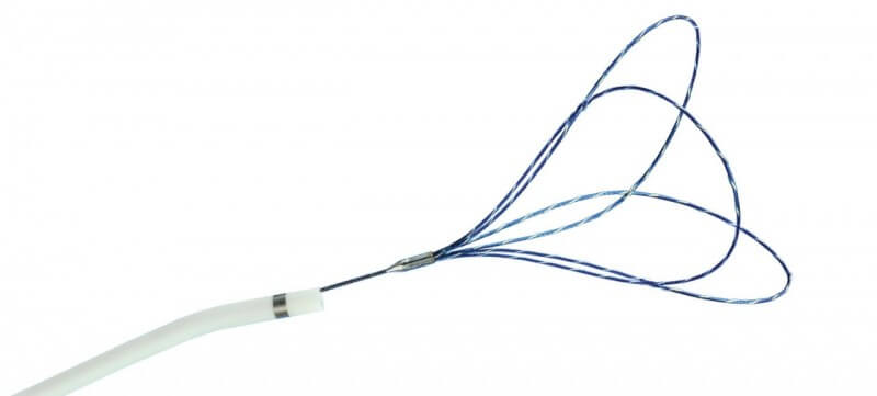 EN Snare® Endovascular Snare System