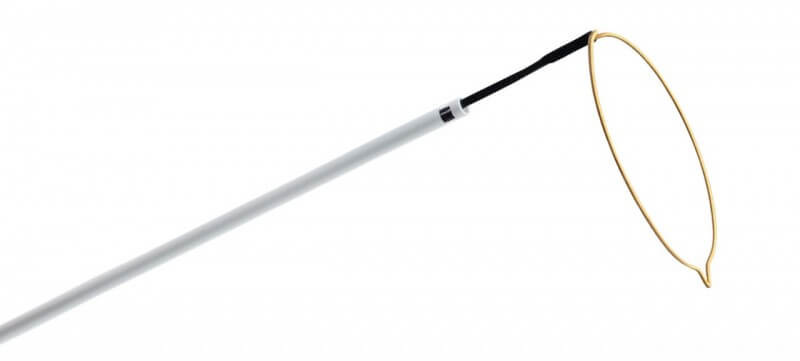 ONE Snare® Endovasular Snare System