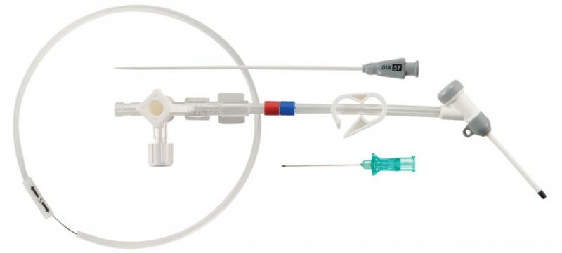 Prelude® Short Sheath Introducers